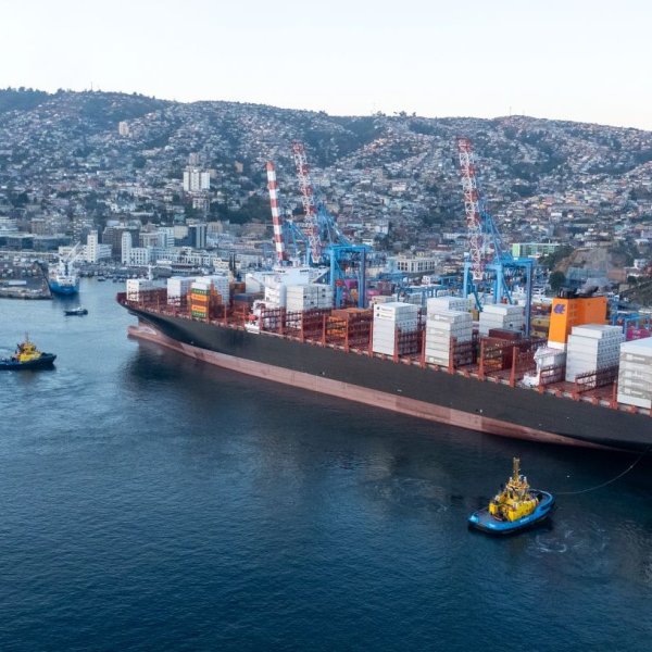 Frutas de Chile proyecta liderazgo de Puerto Valparaíso en exportación de fruta durante la temporada 2025-2026